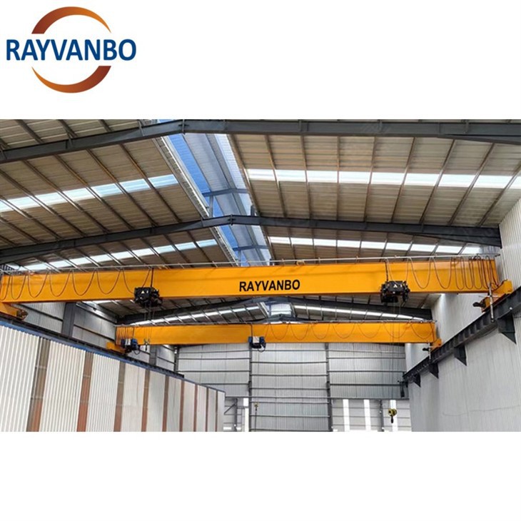 Bridge crane-rayvanbo(3)