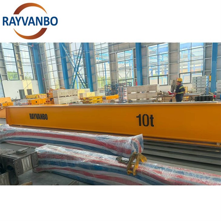 Bridge crane-rayvanbo(5)