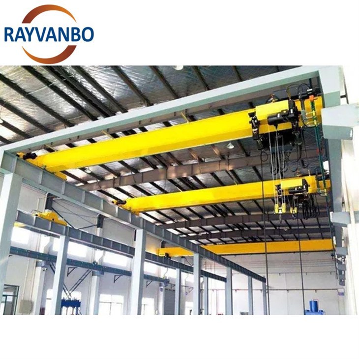 Bridge crane-rayvanbo(4)